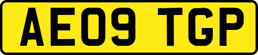 AE09TGP