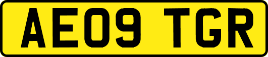 AE09TGR