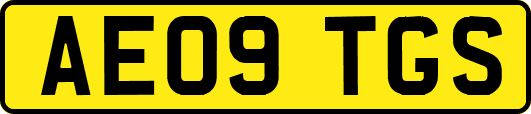 AE09TGS