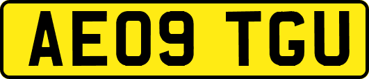 AE09TGU