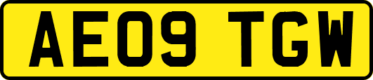 AE09TGW