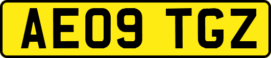 AE09TGZ