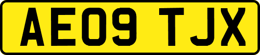AE09TJX