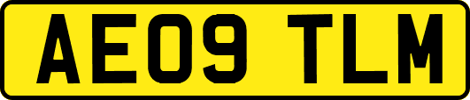 AE09TLM