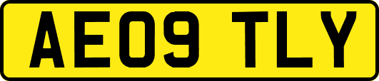 AE09TLY