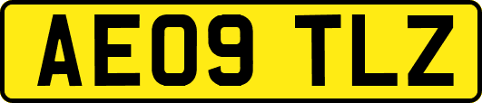 AE09TLZ