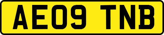 AE09TNB
