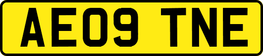 AE09TNE