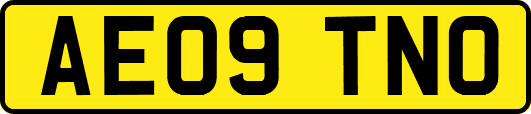 AE09TNO