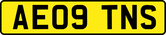 AE09TNS