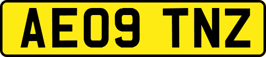 AE09TNZ