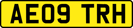 AE09TRH