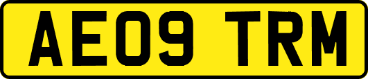 AE09TRM