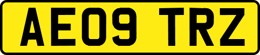 AE09TRZ