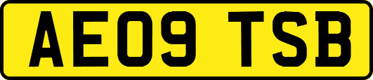 AE09TSB