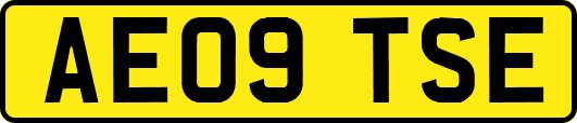 AE09TSE