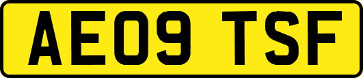 AE09TSF