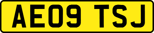 AE09TSJ