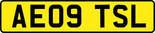 AE09TSL