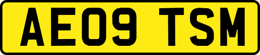 AE09TSM
