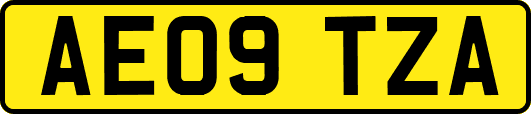 AE09TZA