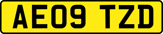 AE09TZD