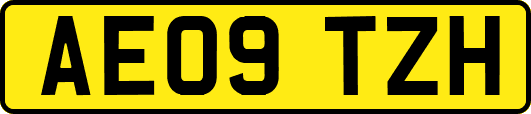 AE09TZH