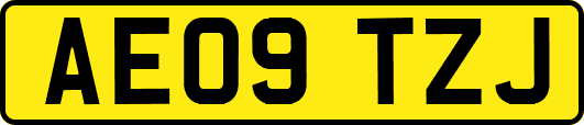 AE09TZJ