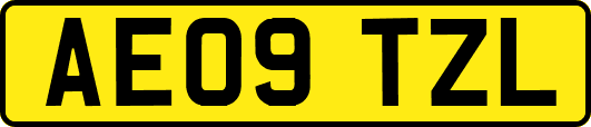 AE09TZL