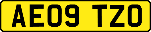 AE09TZO