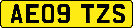 AE09TZS
