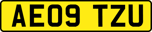 AE09TZU