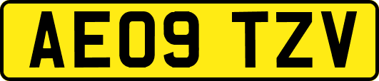 AE09TZV