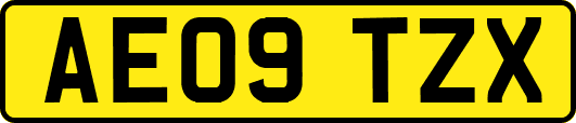 AE09TZX