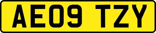 AE09TZY