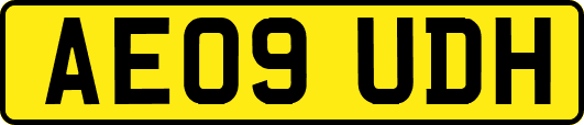 AE09UDH