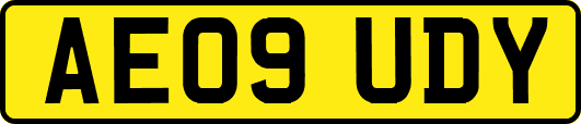 AE09UDY