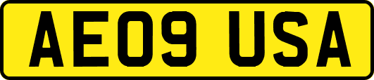 AE09USA