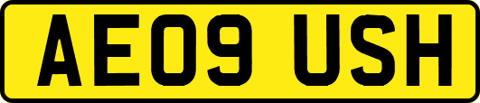 AE09USH