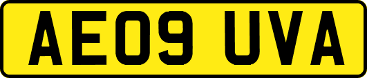 AE09UVA