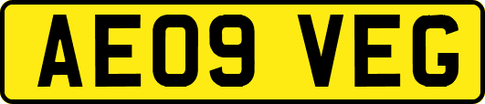 AE09VEG