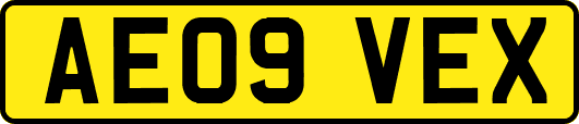 AE09VEX