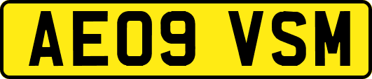 AE09VSM