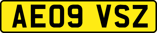 AE09VSZ