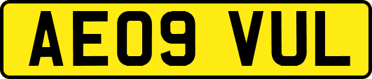 AE09VUL