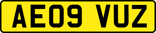 AE09VUZ