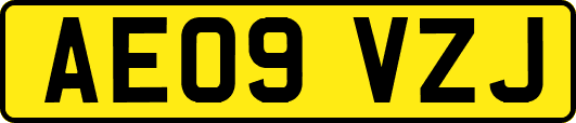 AE09VZJ