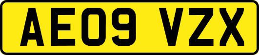 AE09VZX