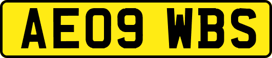 AE09WBS