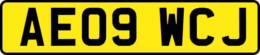 AE09WCJ